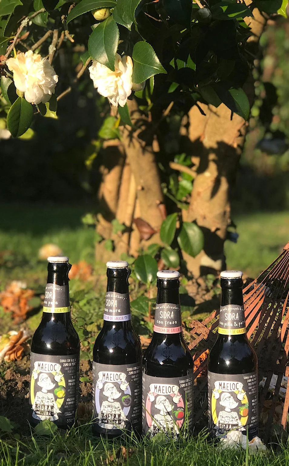 Botellas Maeloc sabores con recogedor